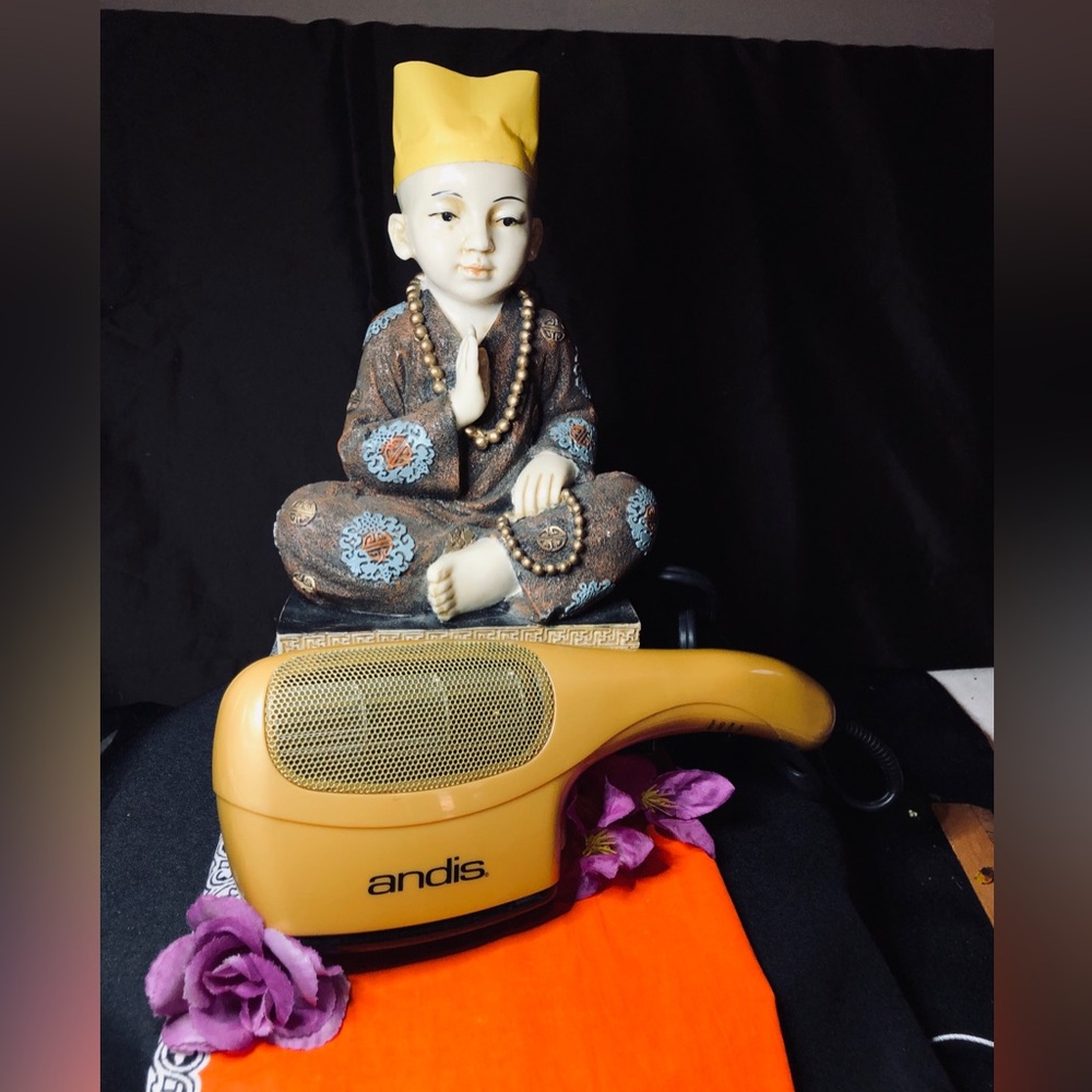 Andis Travel Hair Dryer